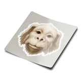 Neverending Story Falkor Sticker