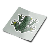 Tree Frog Sticker